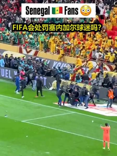 TA：塞内加尔等五国球迷，必须交1.5万美元保证金才能获美国签证