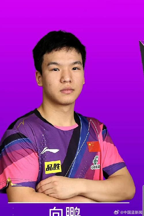 向鹏赢得国乒男队第二次选拔赛冠军，获伦敦世乒赛参赛资格