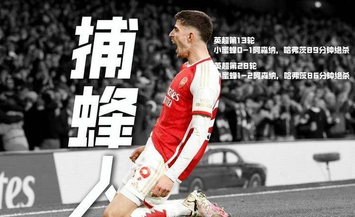 都是主力！阿森纳本月已有10人伤缺退出国家队：萨卡赖斯加布